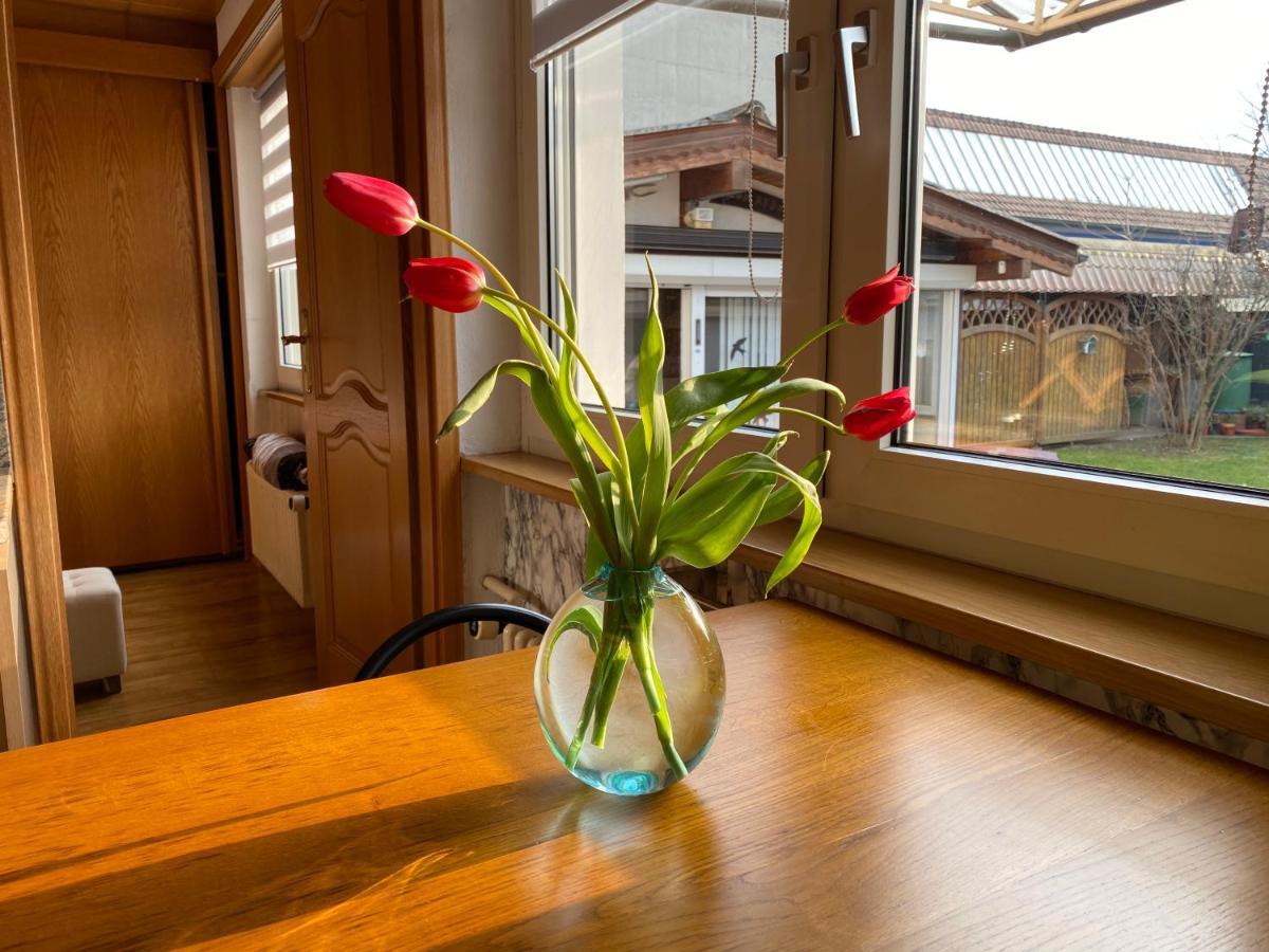 Appartement 3 Lys Saint-Louis (Haut-Rhin) Exterior foto